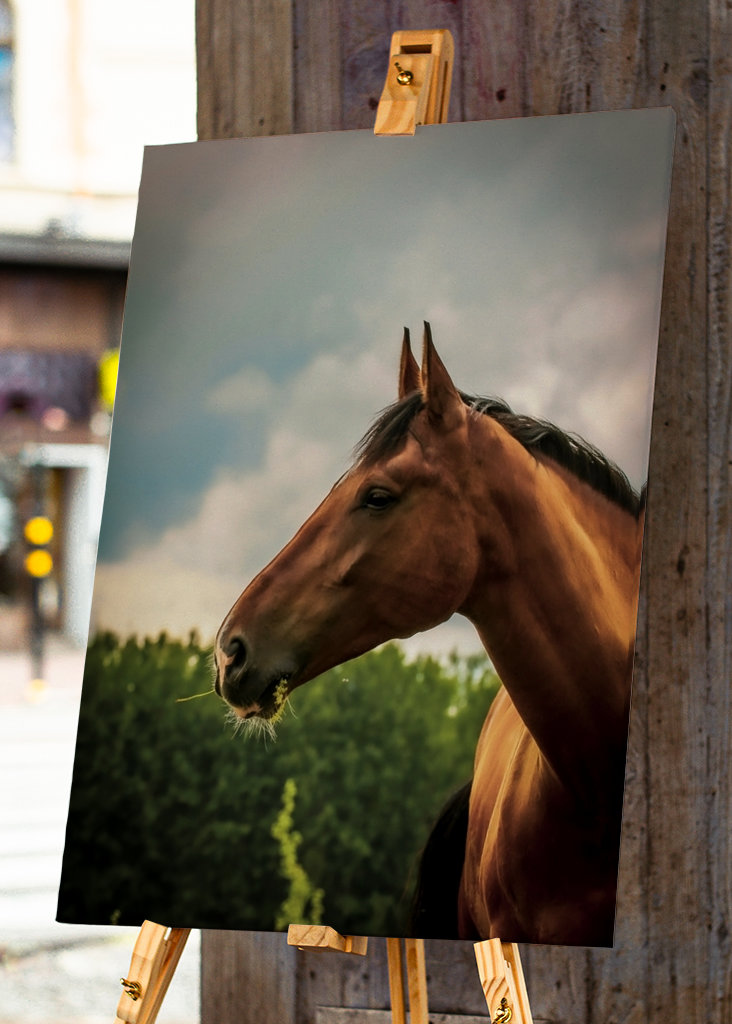 Cheval pore serré en dehors de l’été