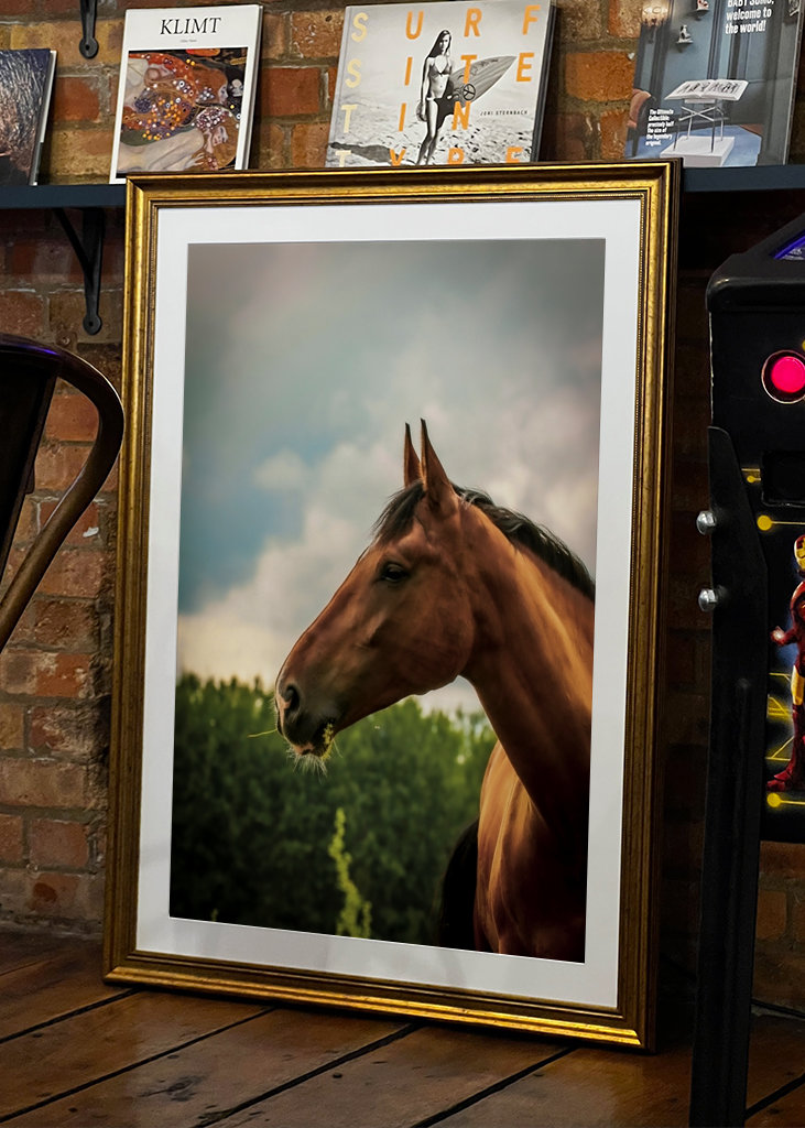 Cheval pore serré en dehors de l’été