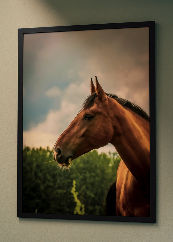 Cheval pore serré en dehors de l’été
