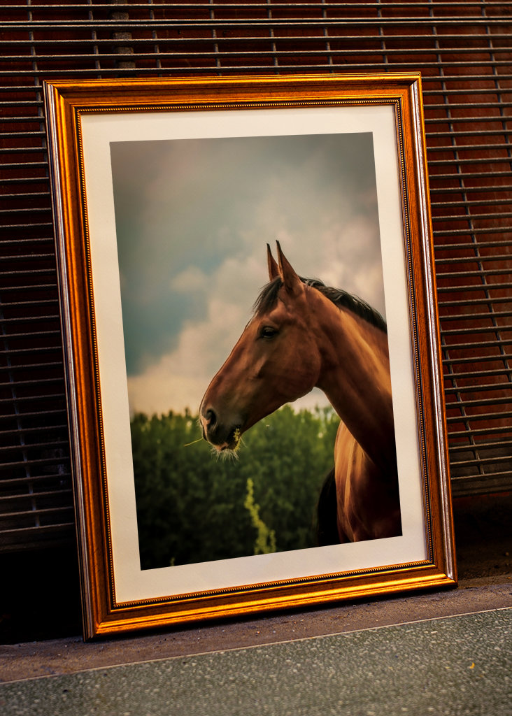 Cheval pore serré en dehors de l’été