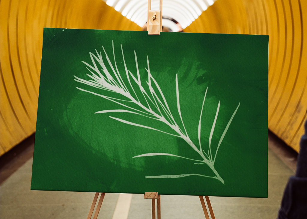 Grüne Johannisbeere