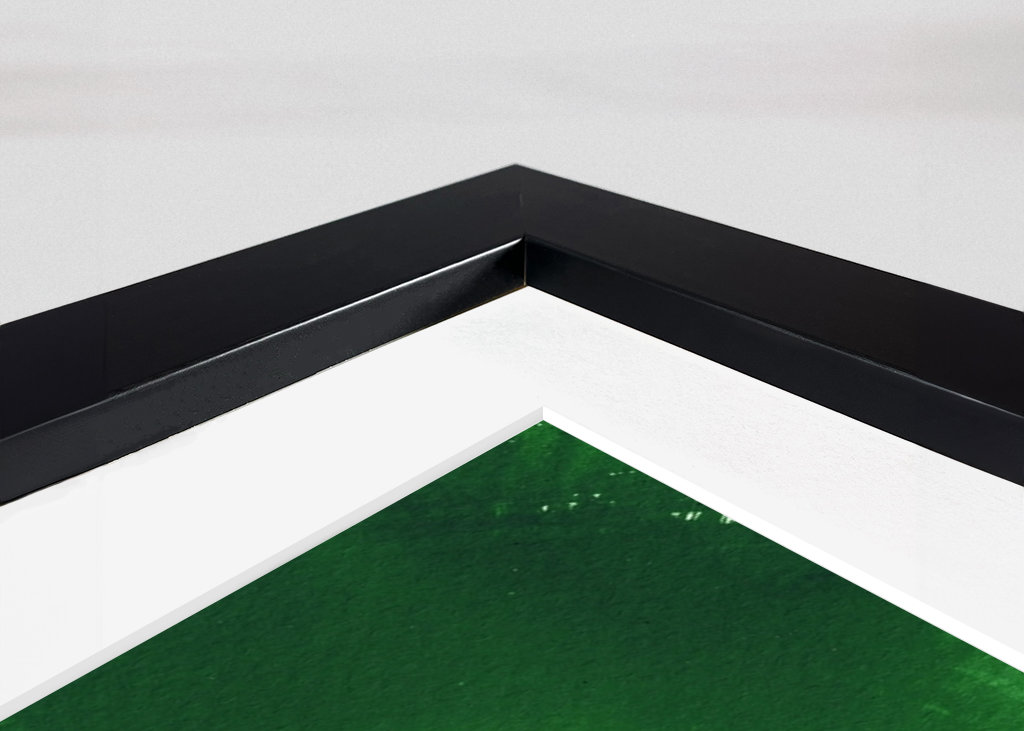 Grüne Johannisbeere