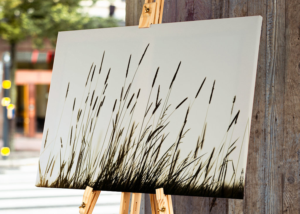 Het gras en de schemering