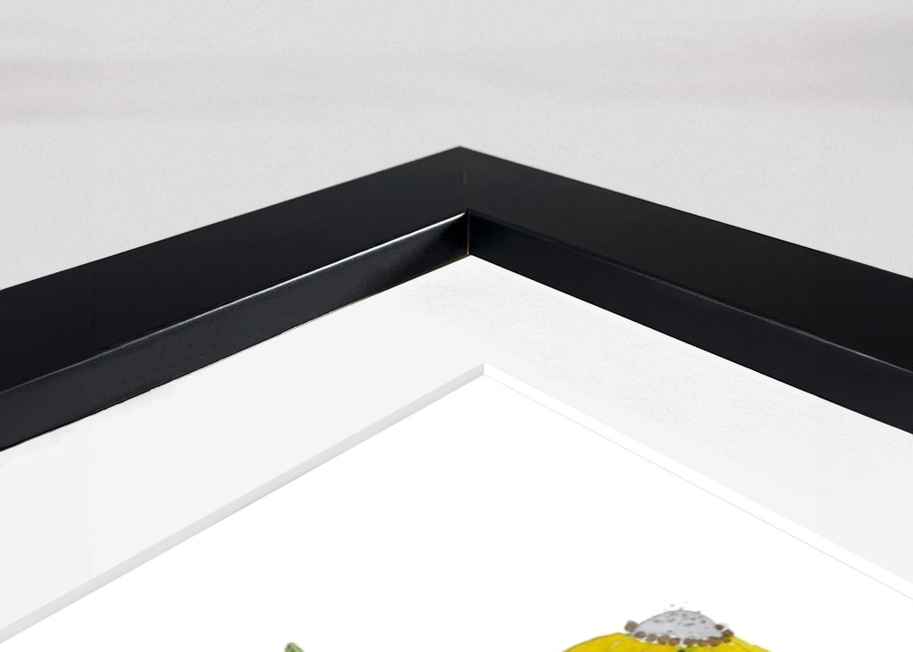 Baleine grise à fleurs