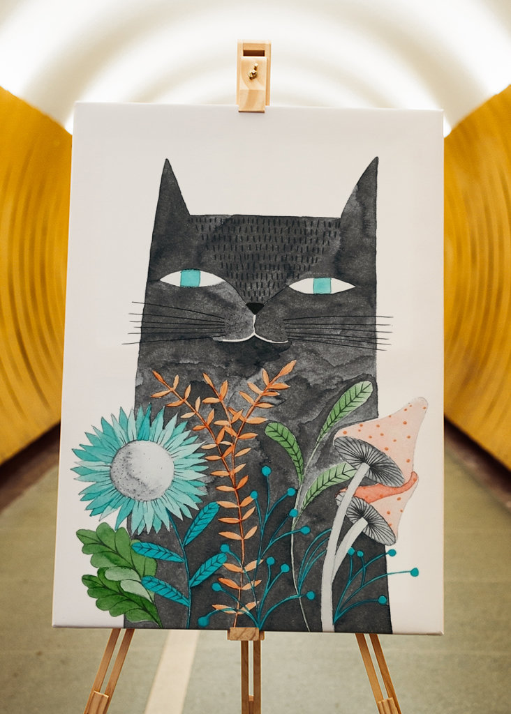 šedá kočka s rostlinami