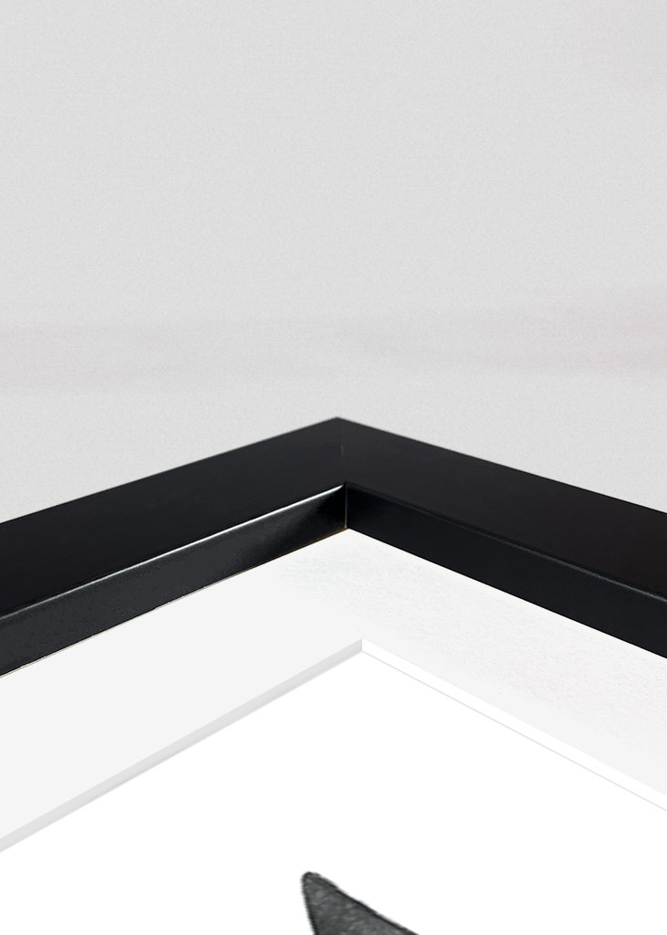 šedá kočka s rostlinami