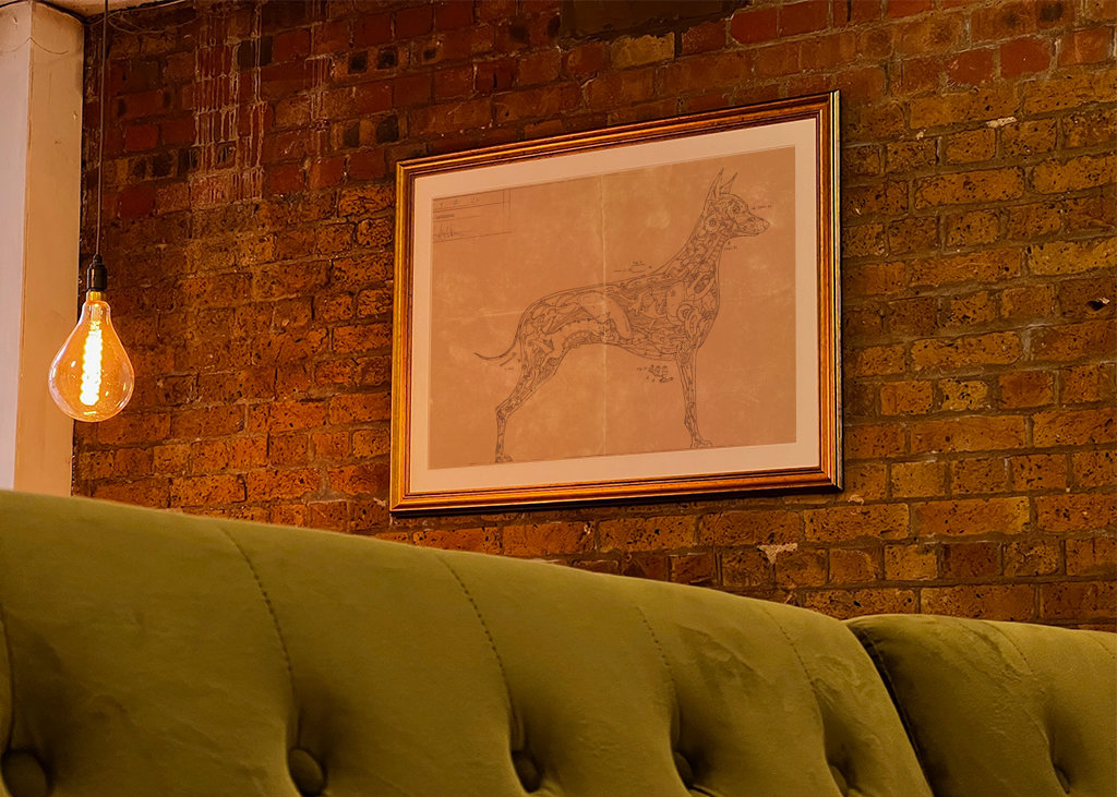 Tiere, die Tiere rennen. Hundekatze