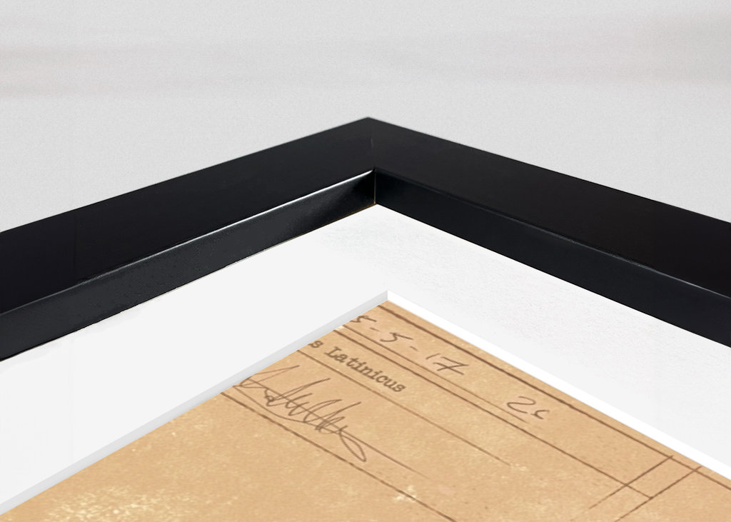 Tiere, die Tiere rennen. Hundekatze