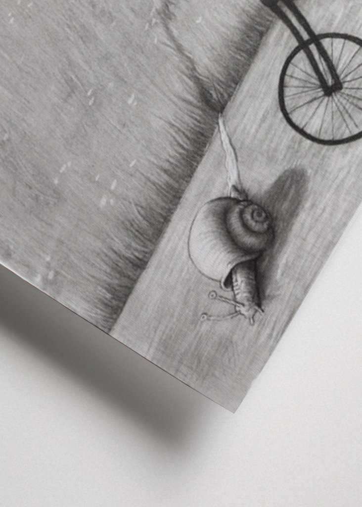 Caracol en el camino 