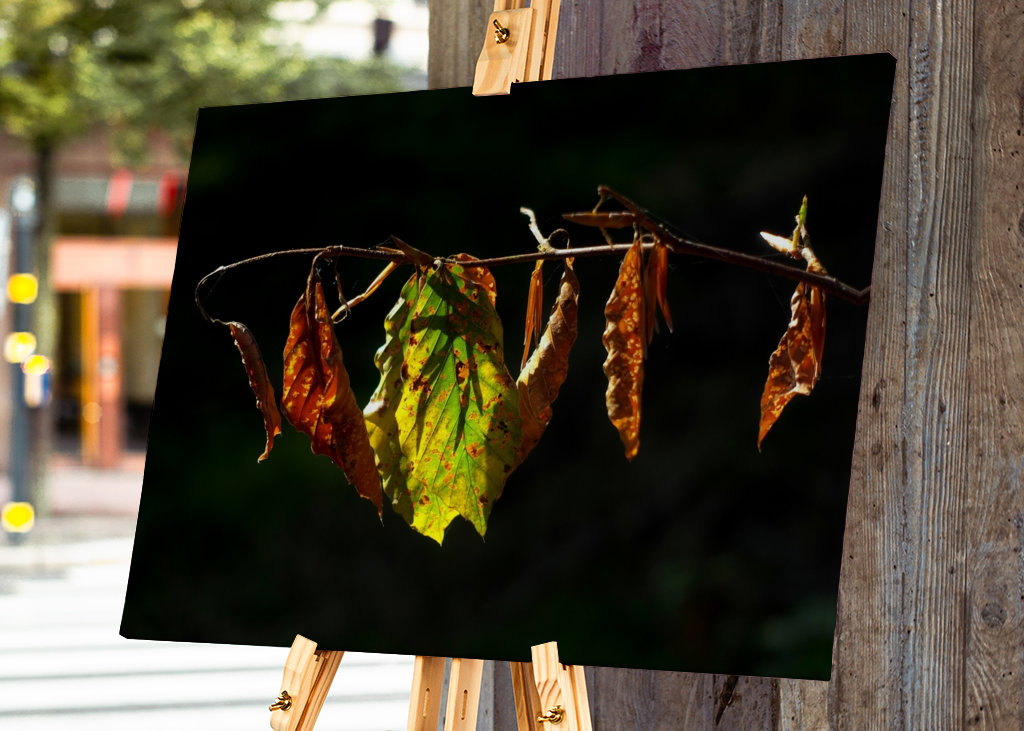 Sensation d’automne