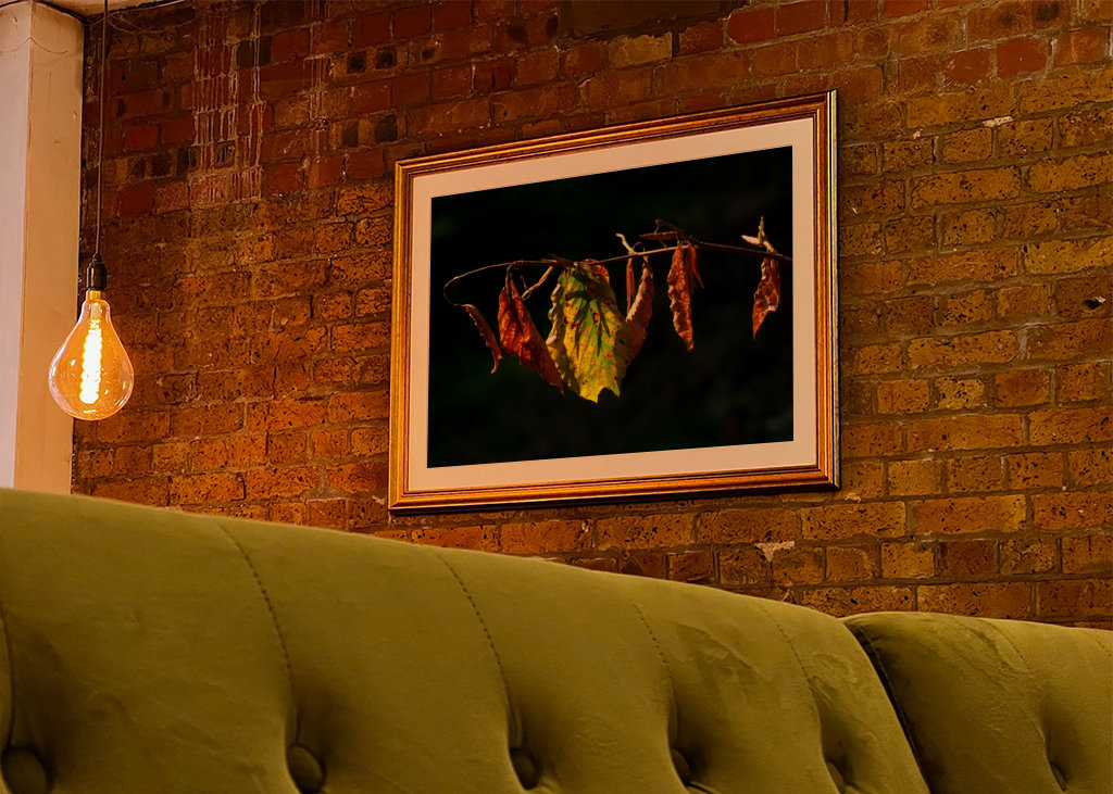 Sensation d’automne