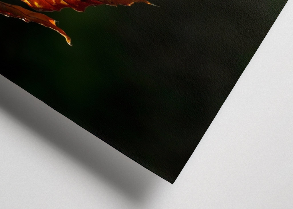 Sensation d’automne