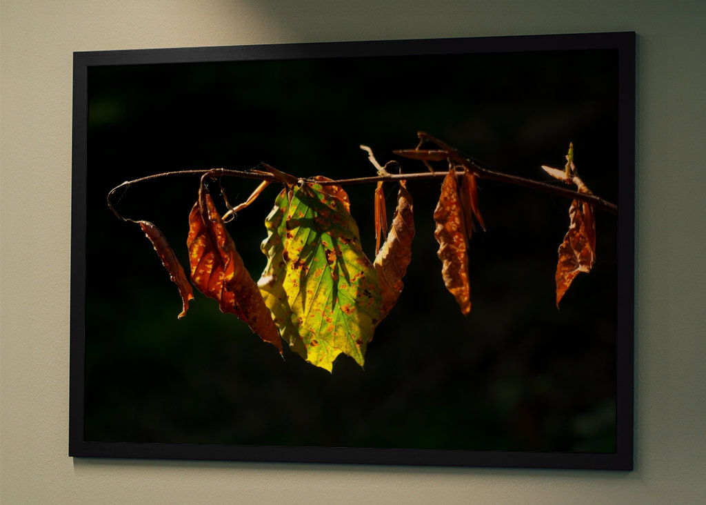 Sensation d’automne