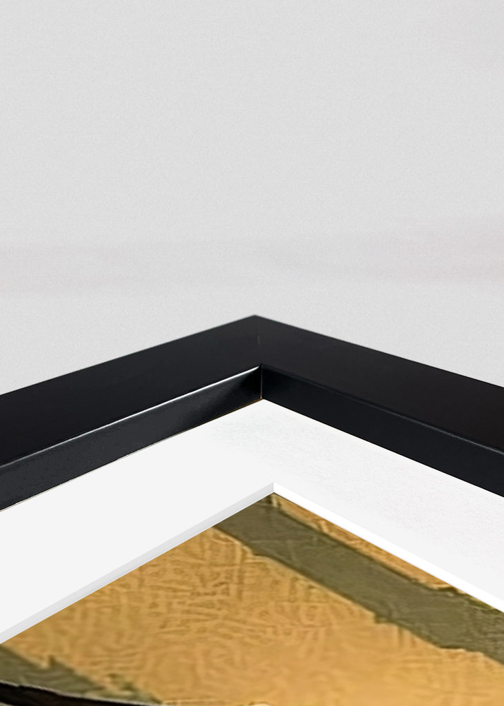 Général Samouraï Grievous