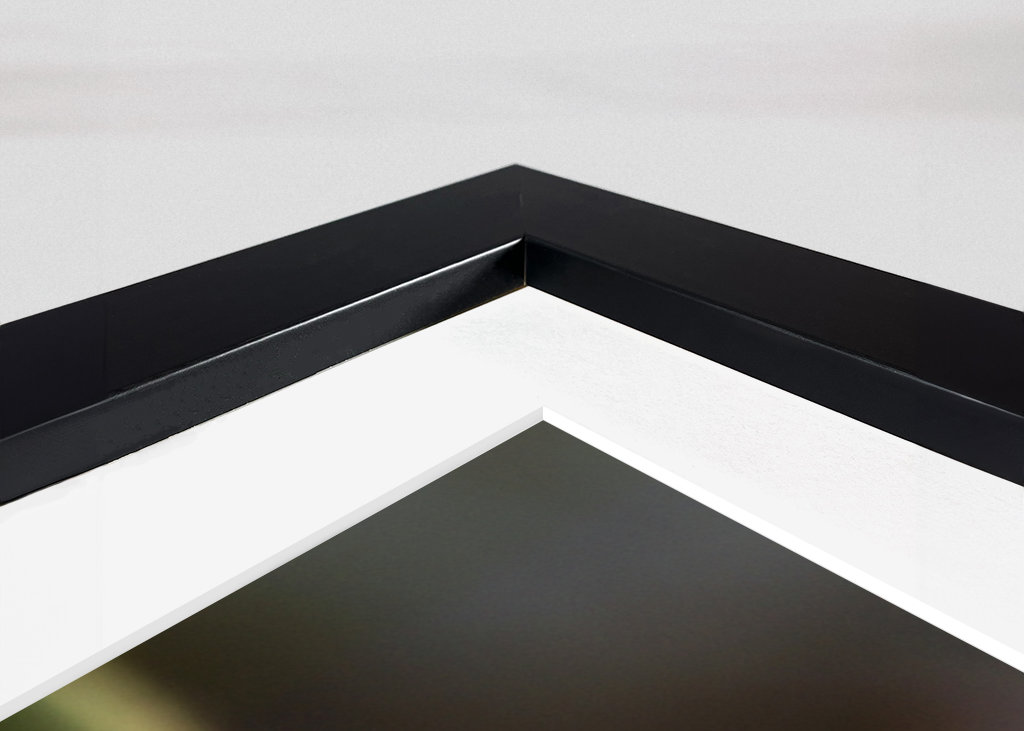 Mohnblume 2 Annoncer