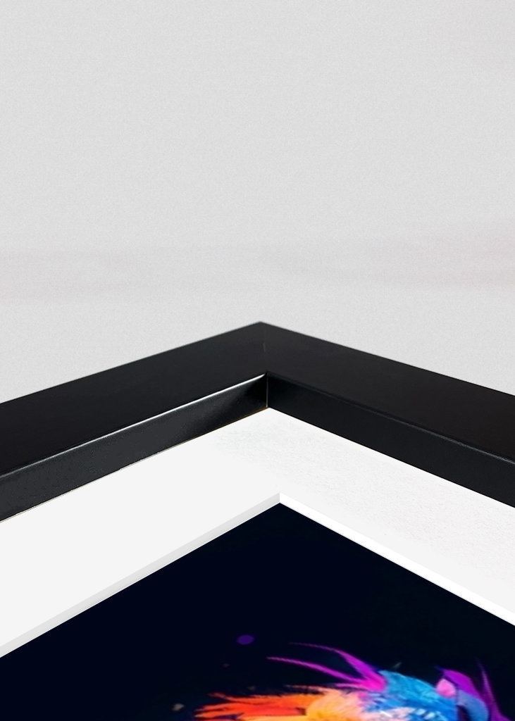 Colourful Owl - Illustration