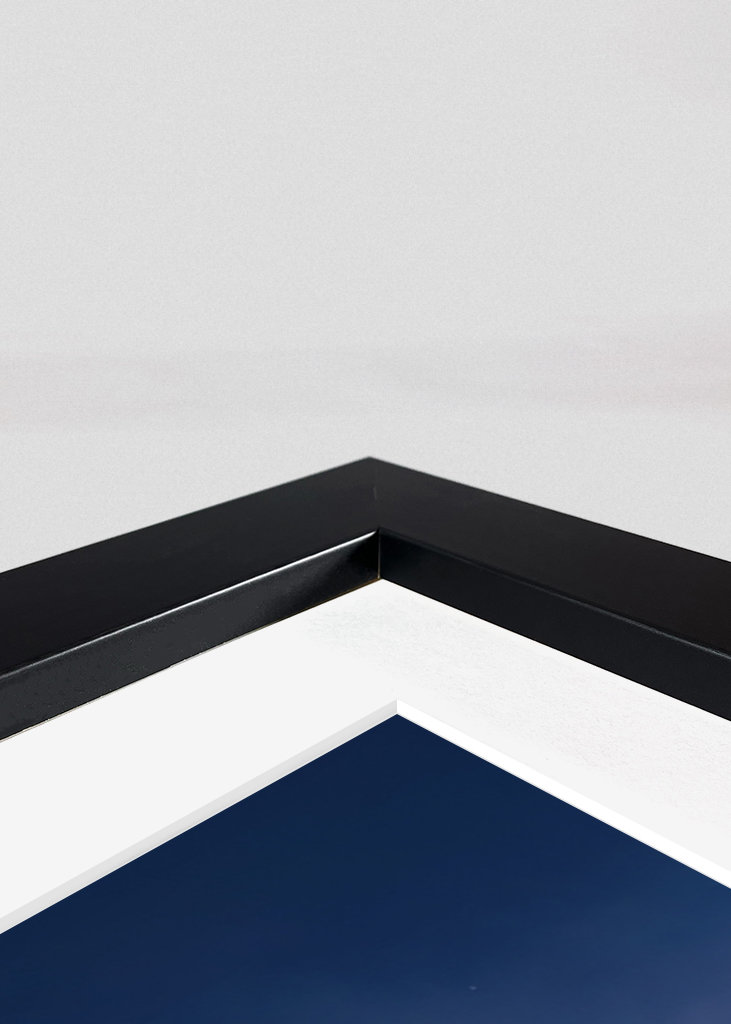 Neon Genesis Evangelion