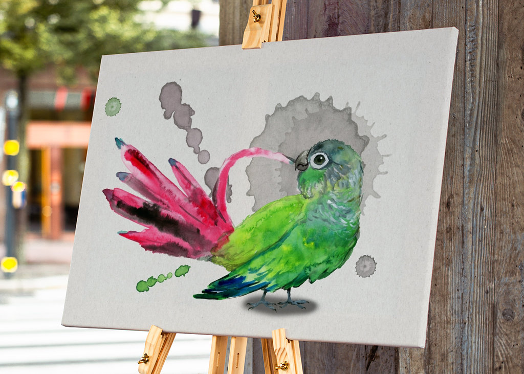 Parrocchetto dalle guance verdi che spazzola