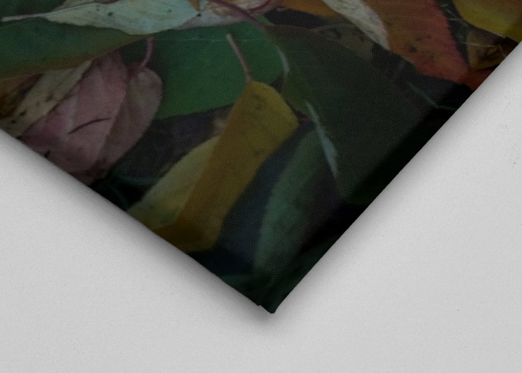 Couleurs d’automne