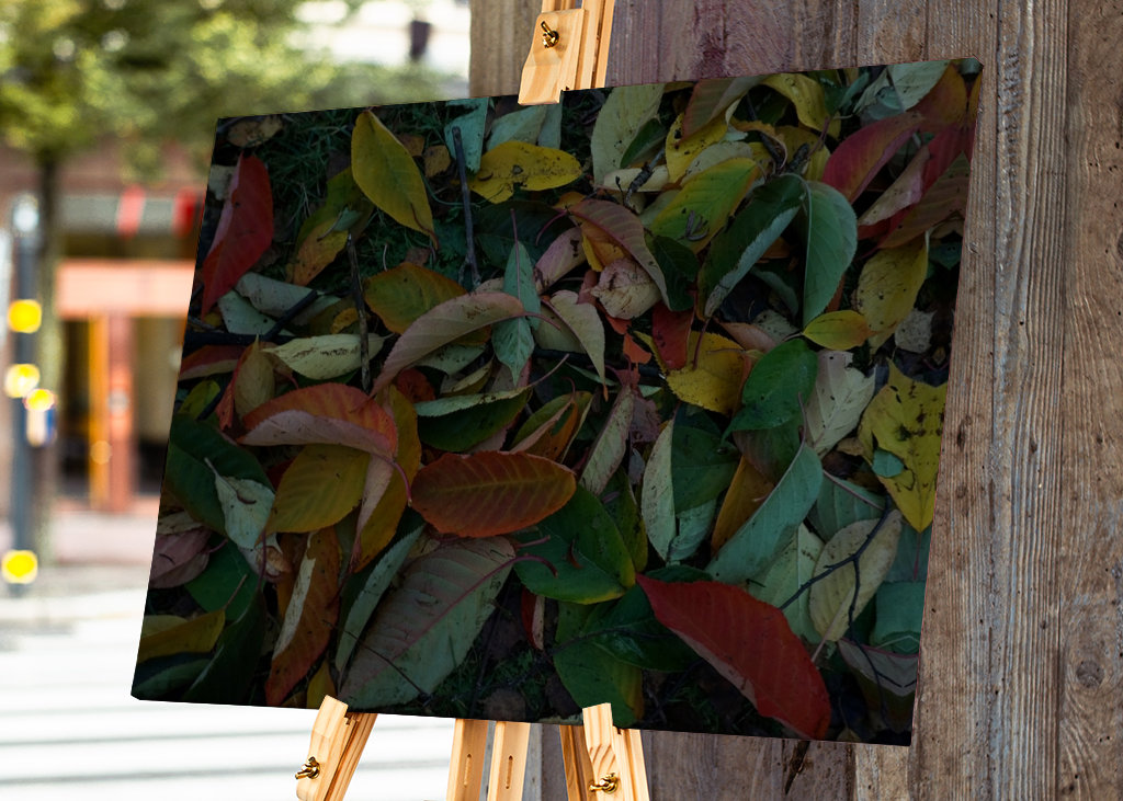 Couleurs d’automne