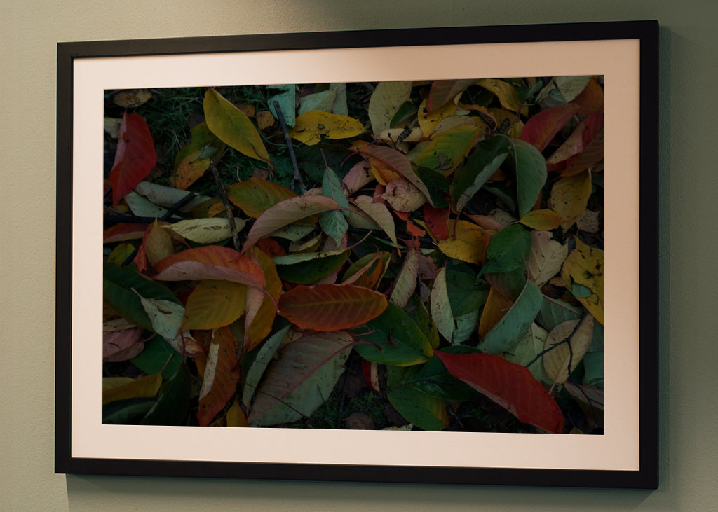 Couleurs d’automne