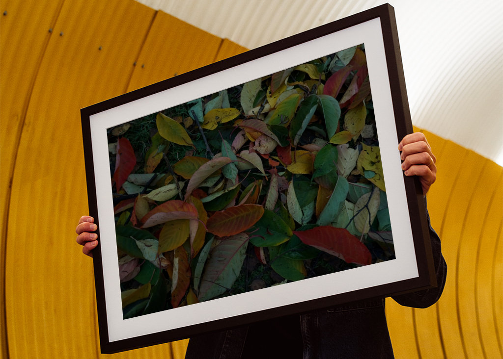 Couleurs d’automne