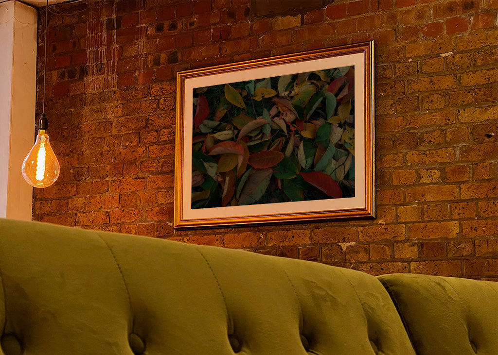 Couleurs d’automne