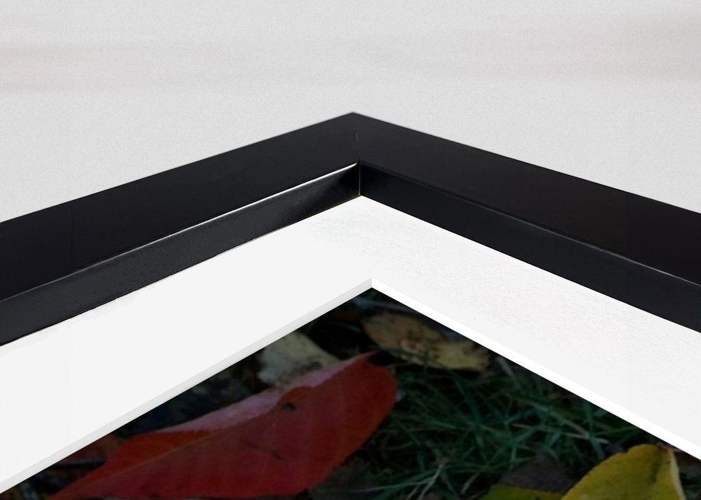 Couleurs d’automne