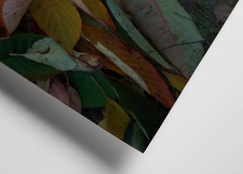 Couleurs d’automne