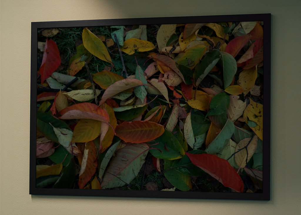 Couleurs d’automne