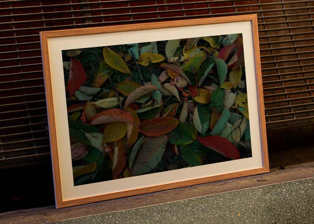 Couleurs d’automne