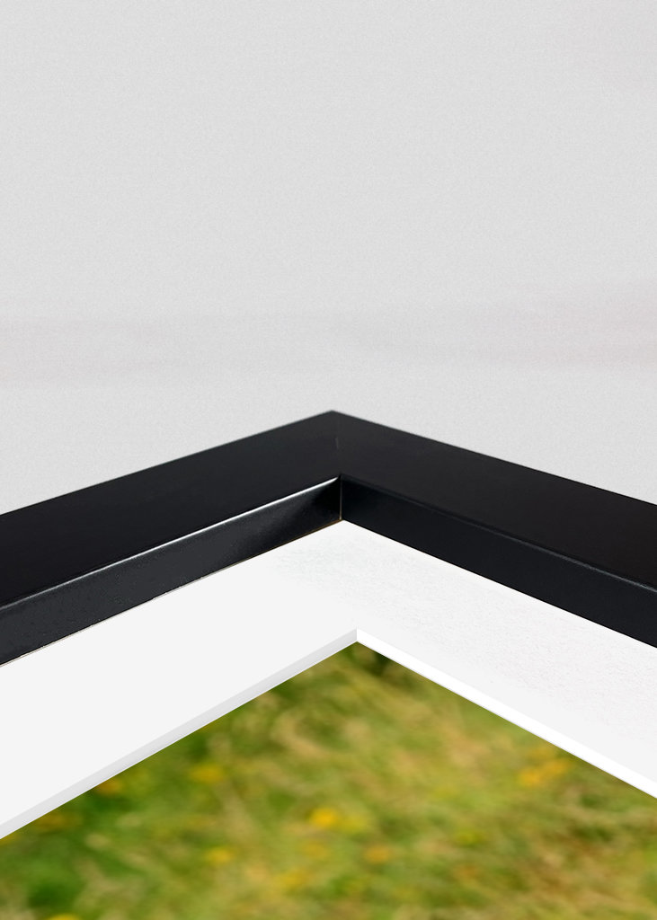 Veau écossais Highlander