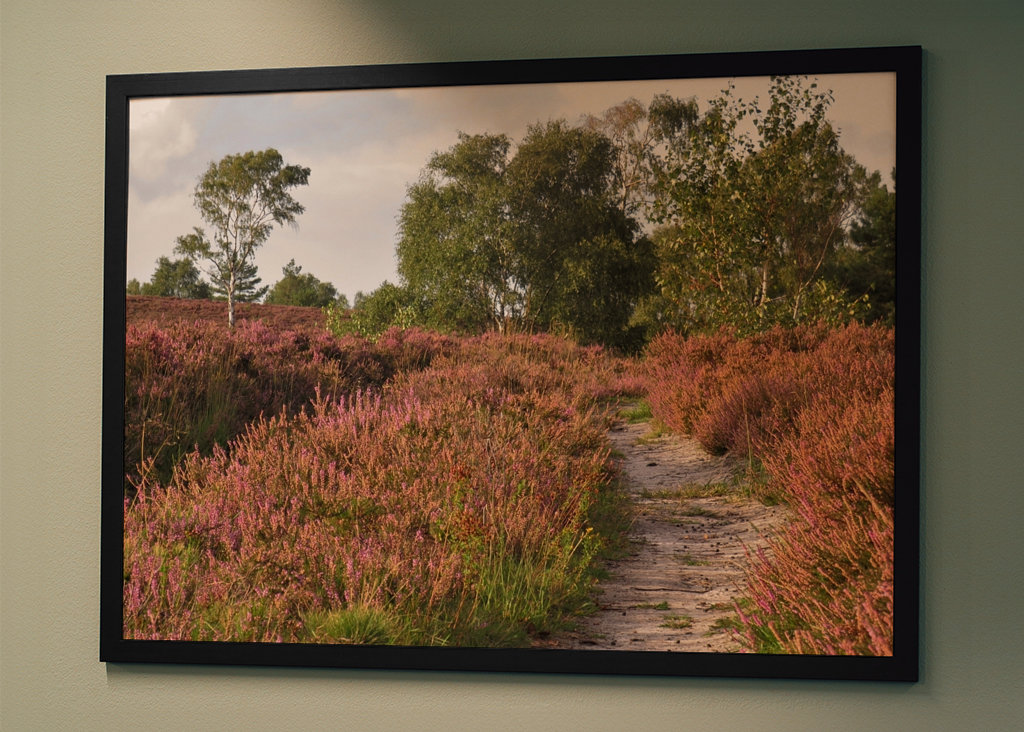 Vaellusreitti nummilla