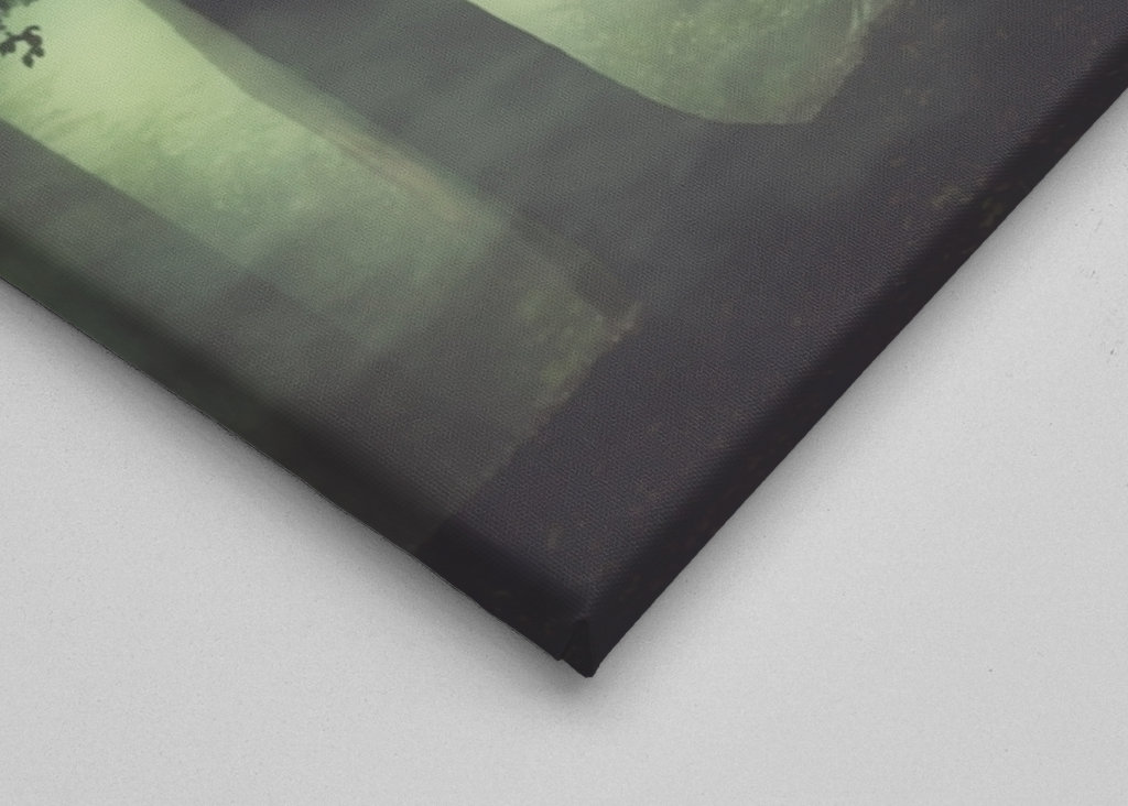 Poranna mgła w lesie