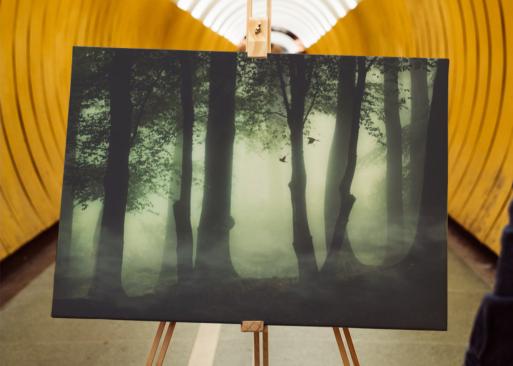 Poranna mgła w lesie