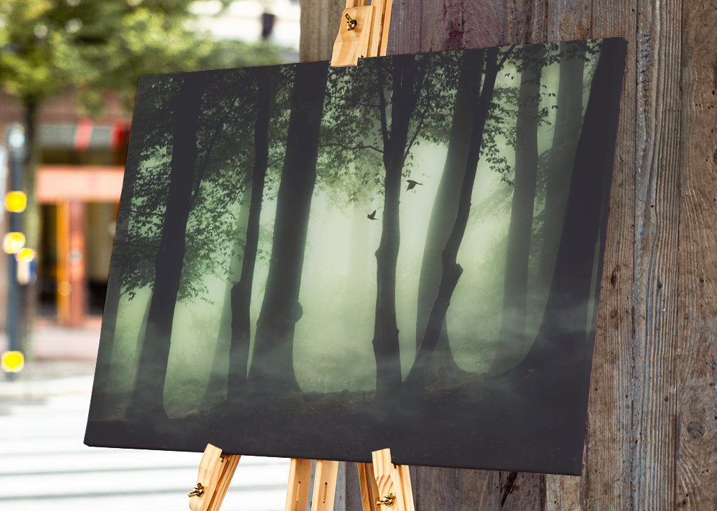 Poranna mgła w lesie