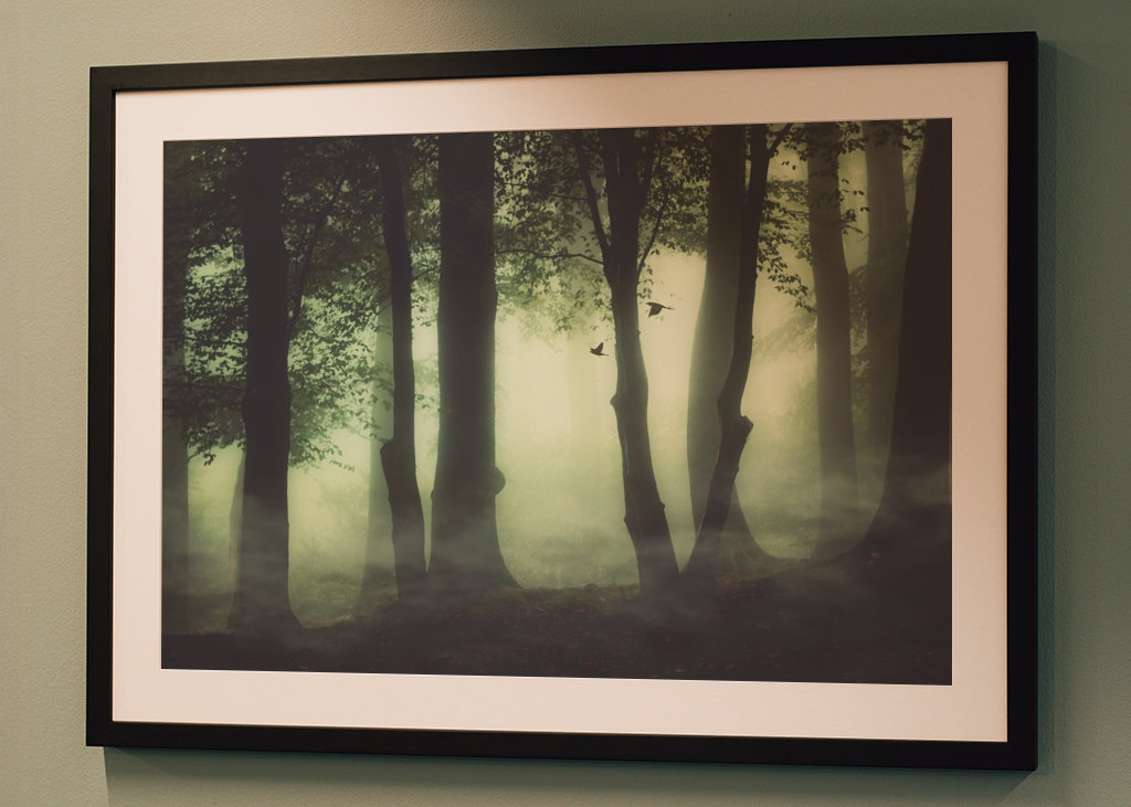 Poranna mgła w lesie