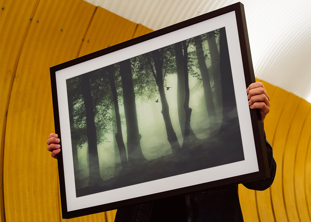 Poranna mgła w lesie