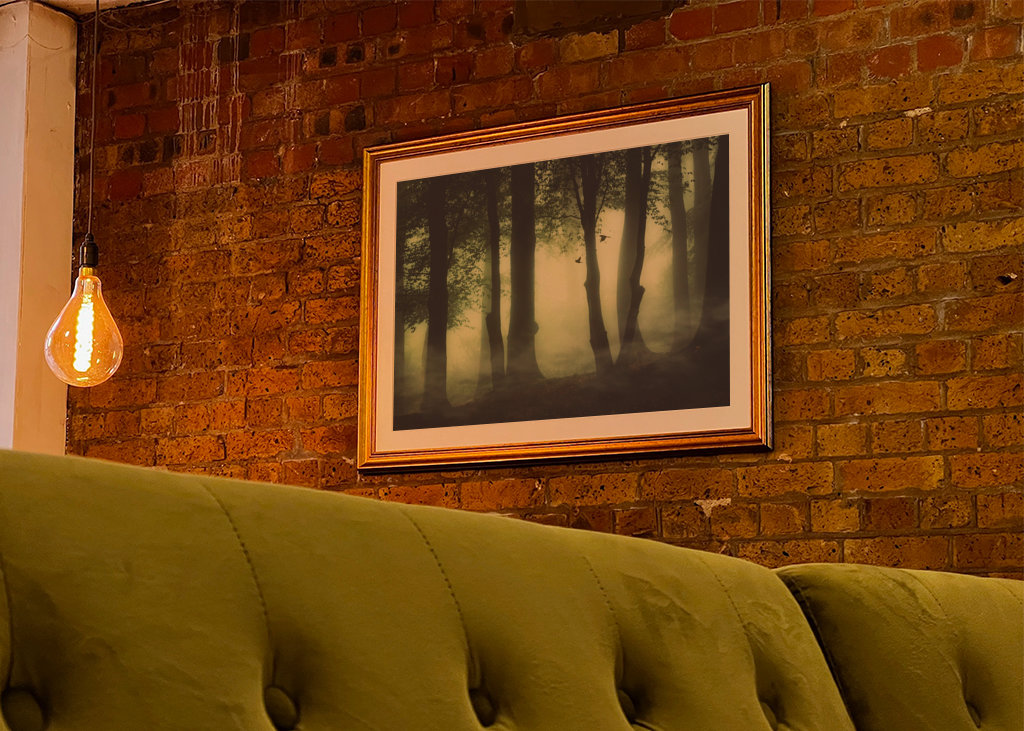 Poranna mgła w lesie