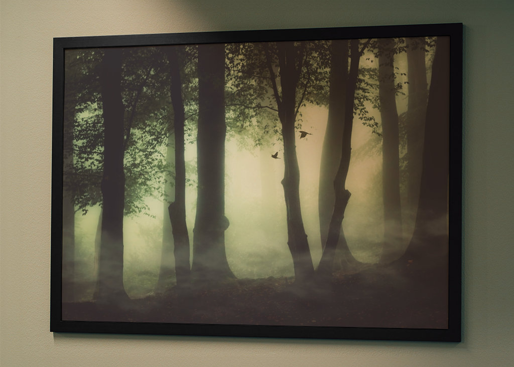 Poranna mgła w lesie