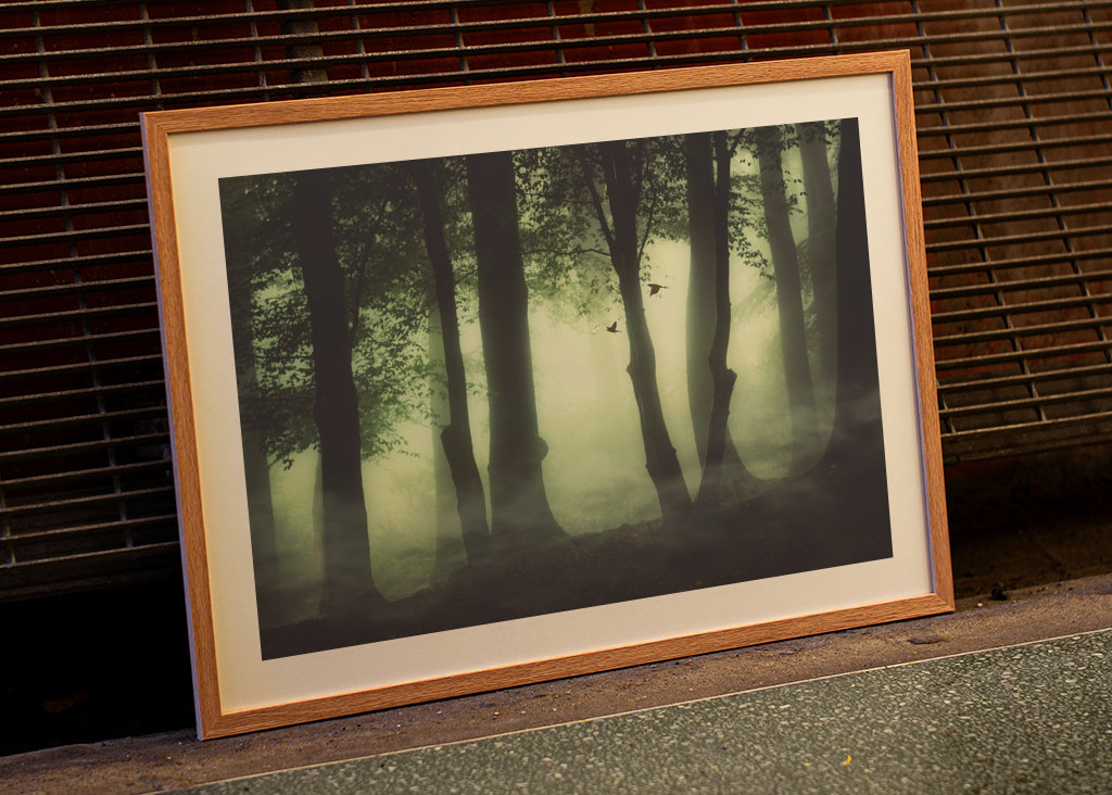 Poranna mgła w lesie