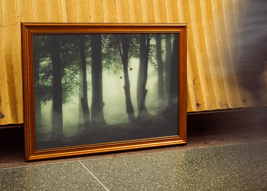 Poranna mgła w lesie