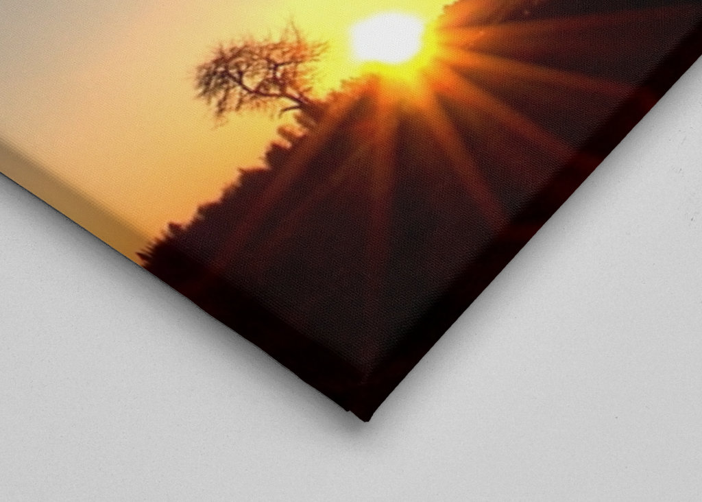 O céu, a terra e o sol 