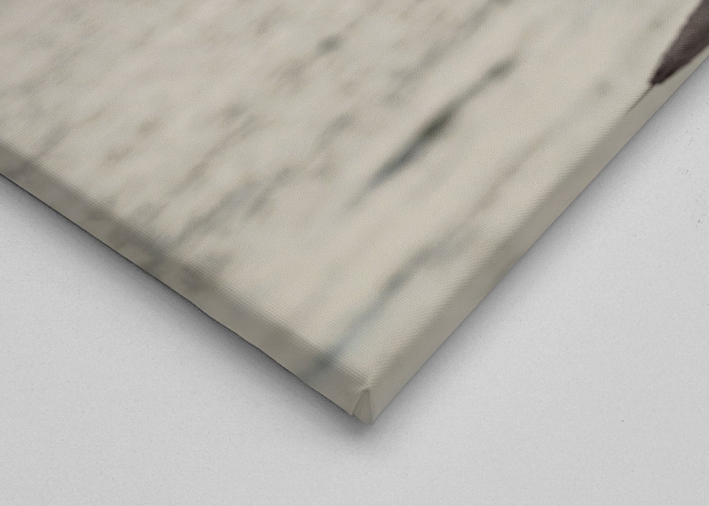 Sailing ship and seagull