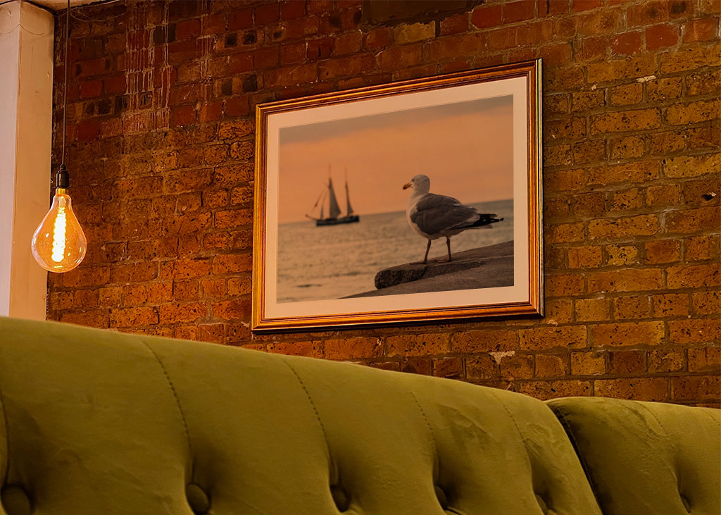 Sailing ship and seagull