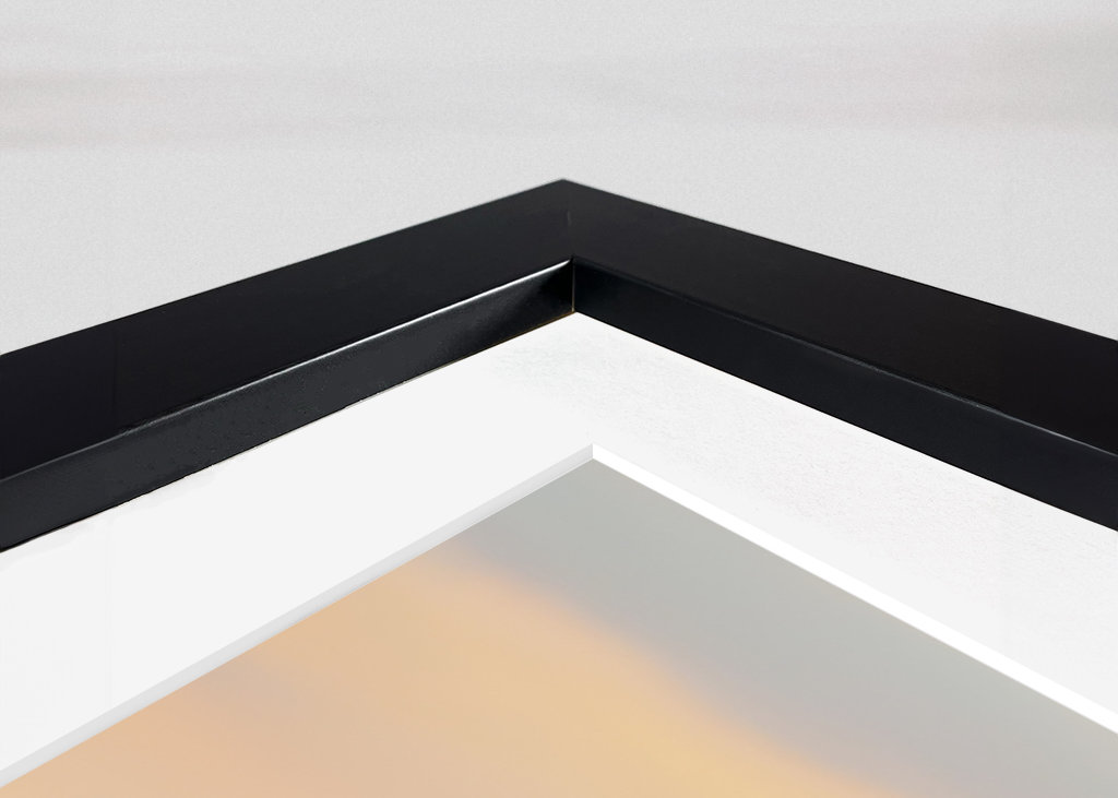 Sailing ship and seagull