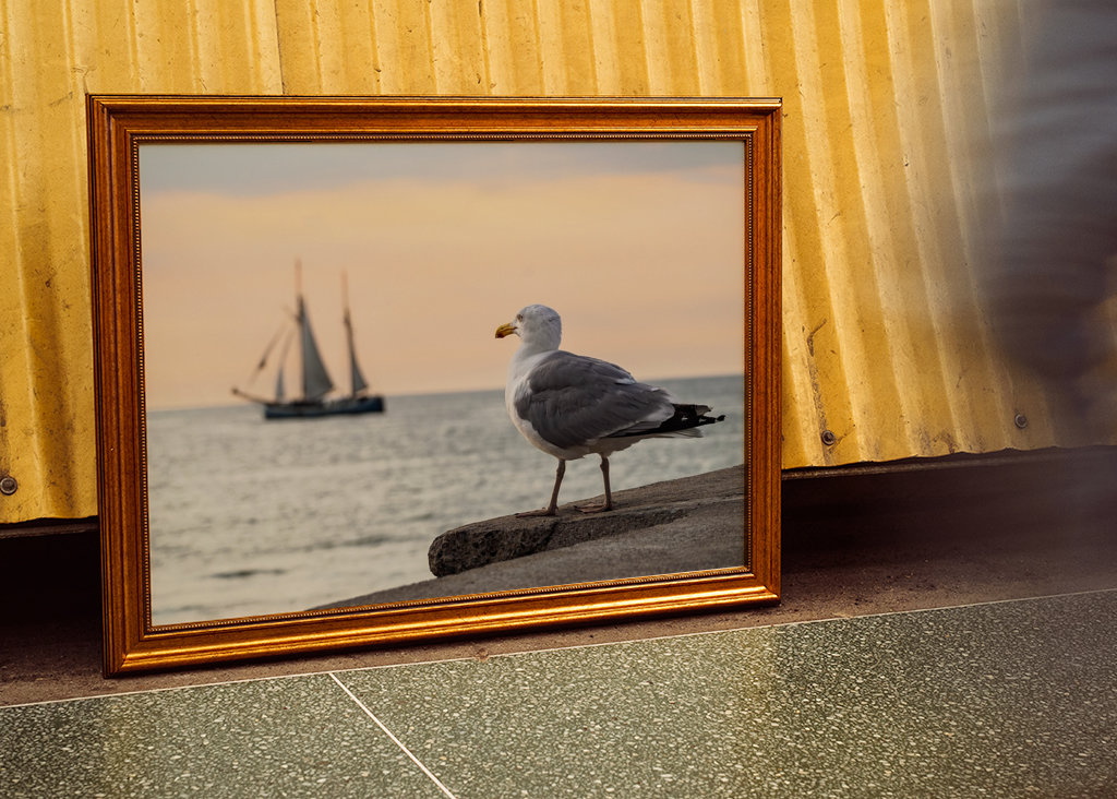 Sailing ship and seagull