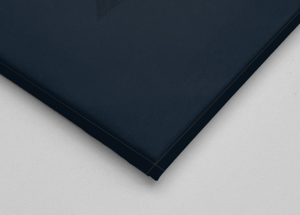 One Piece nakama y sus amigos