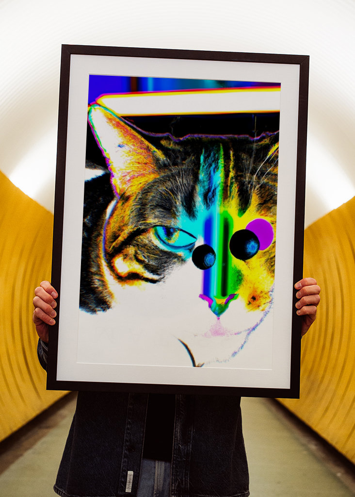 Die Sicht einer Katze auf das Multiversum.