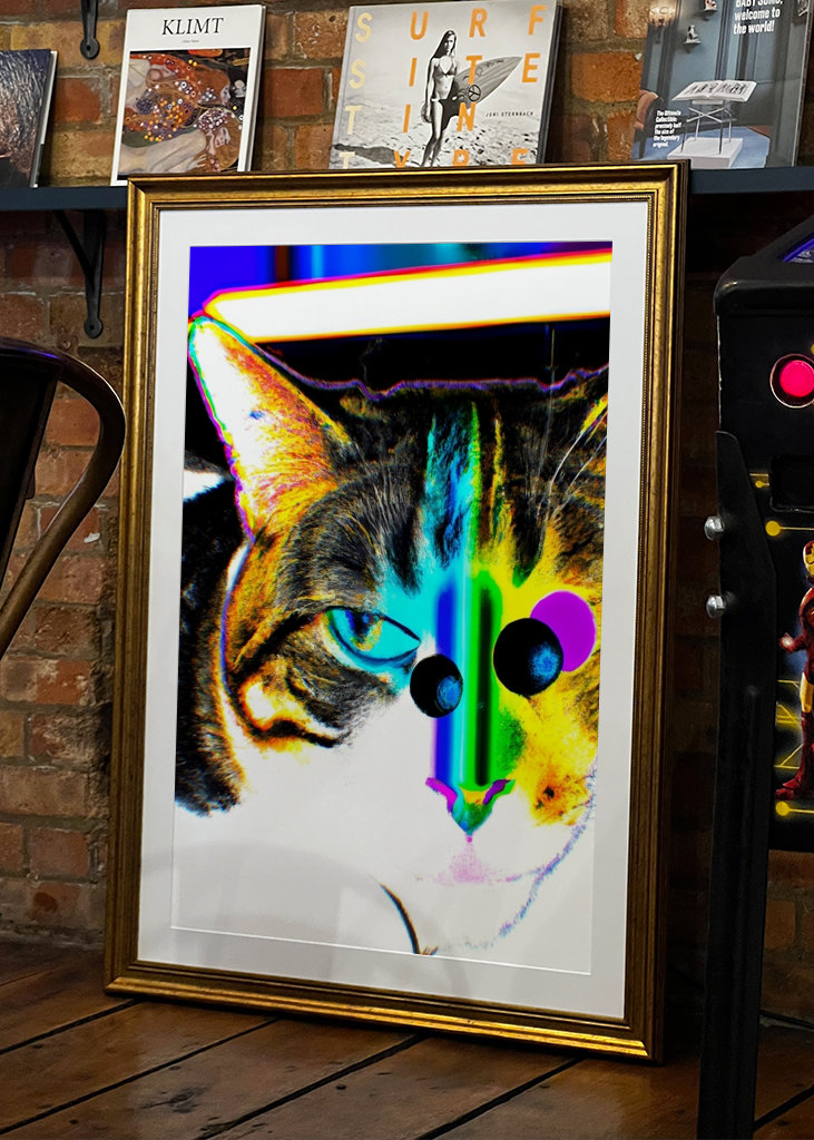 Die Sicht einer Katze auf das Multiversum.